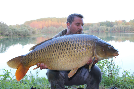 Successful Carp Fishing