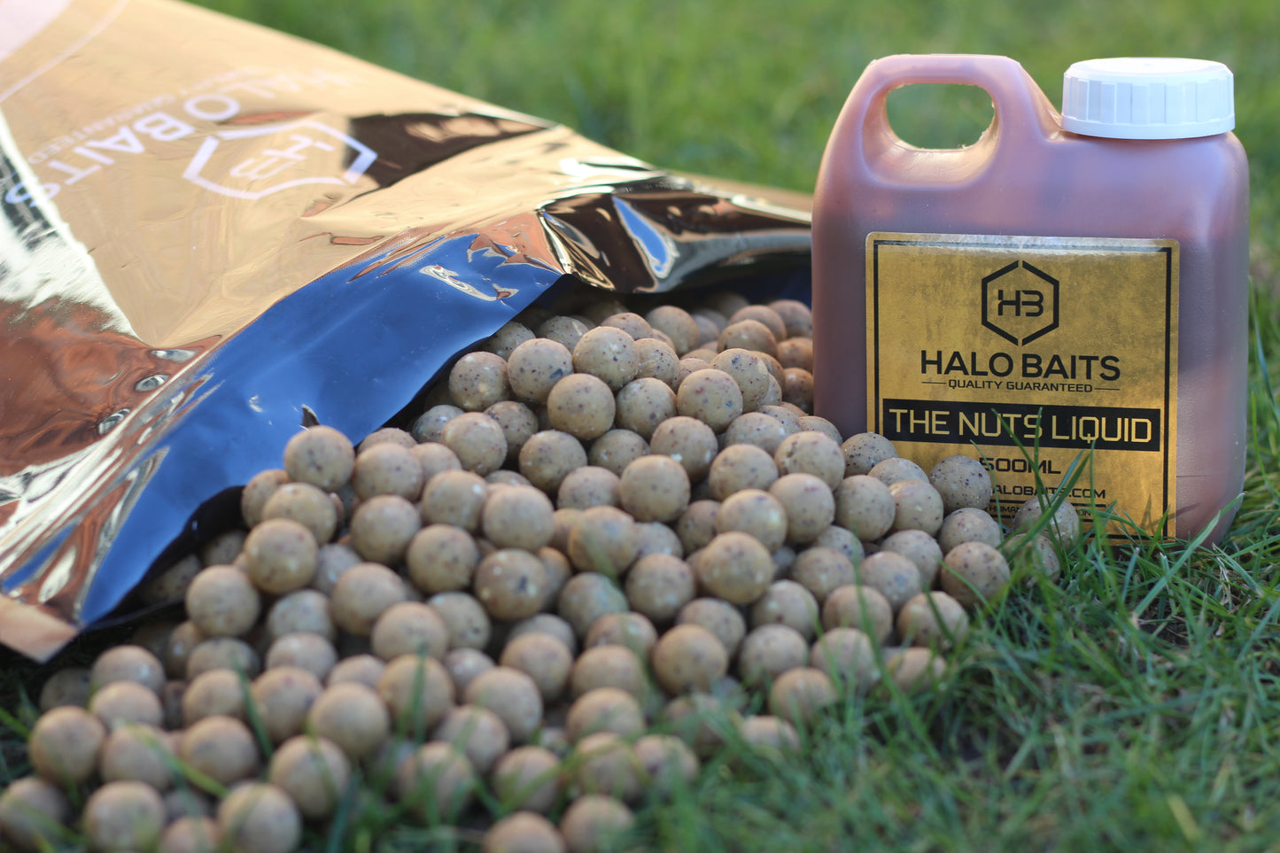 The NUTS Boilies
