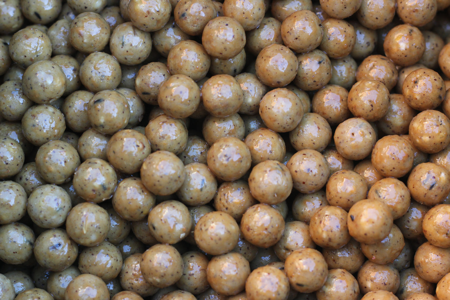 The NUTS Boilies
