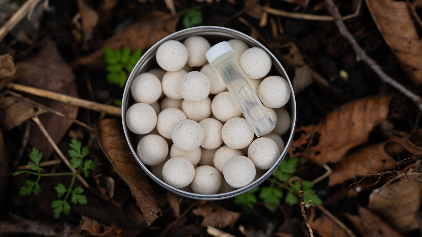 Pina Colada Pop ups & Wafters
