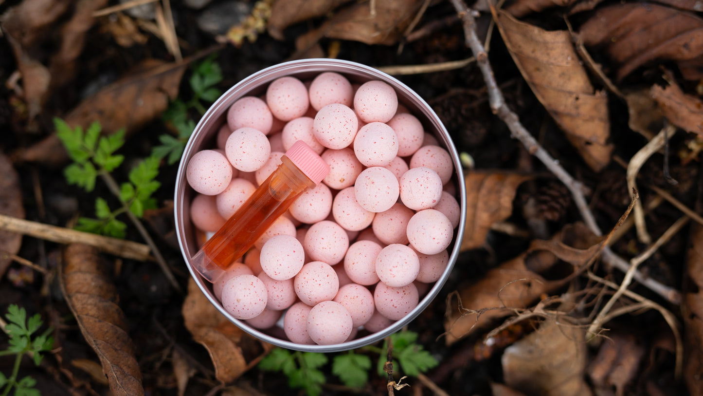 Squid & Octopus Pop Ups & Wafters