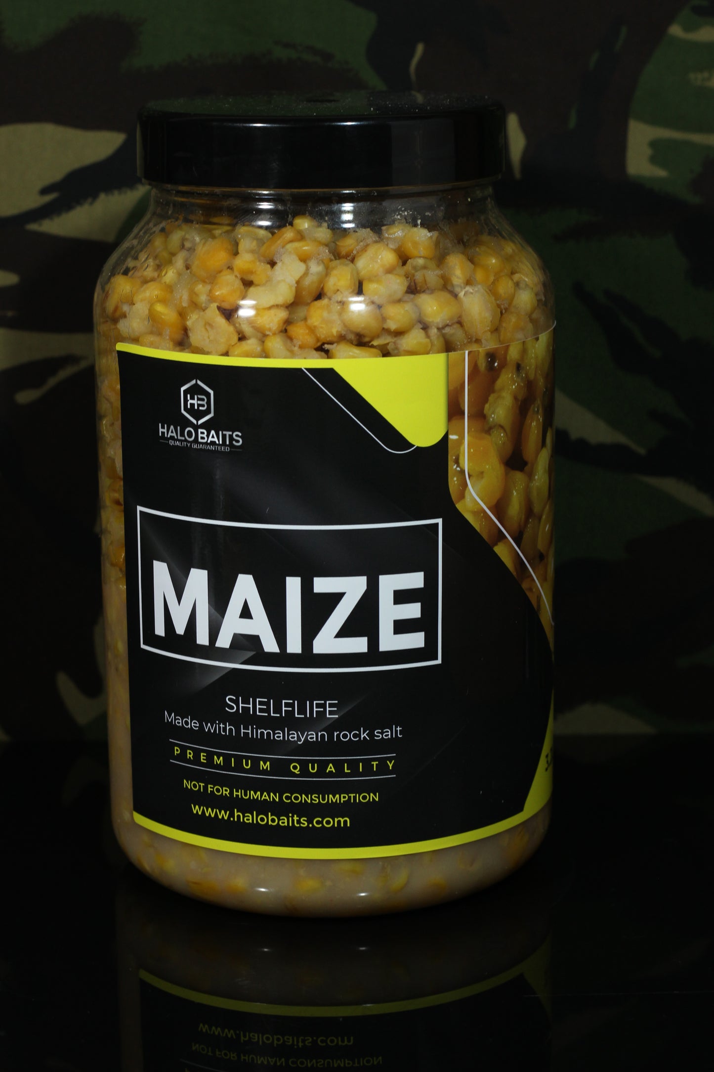 Maize