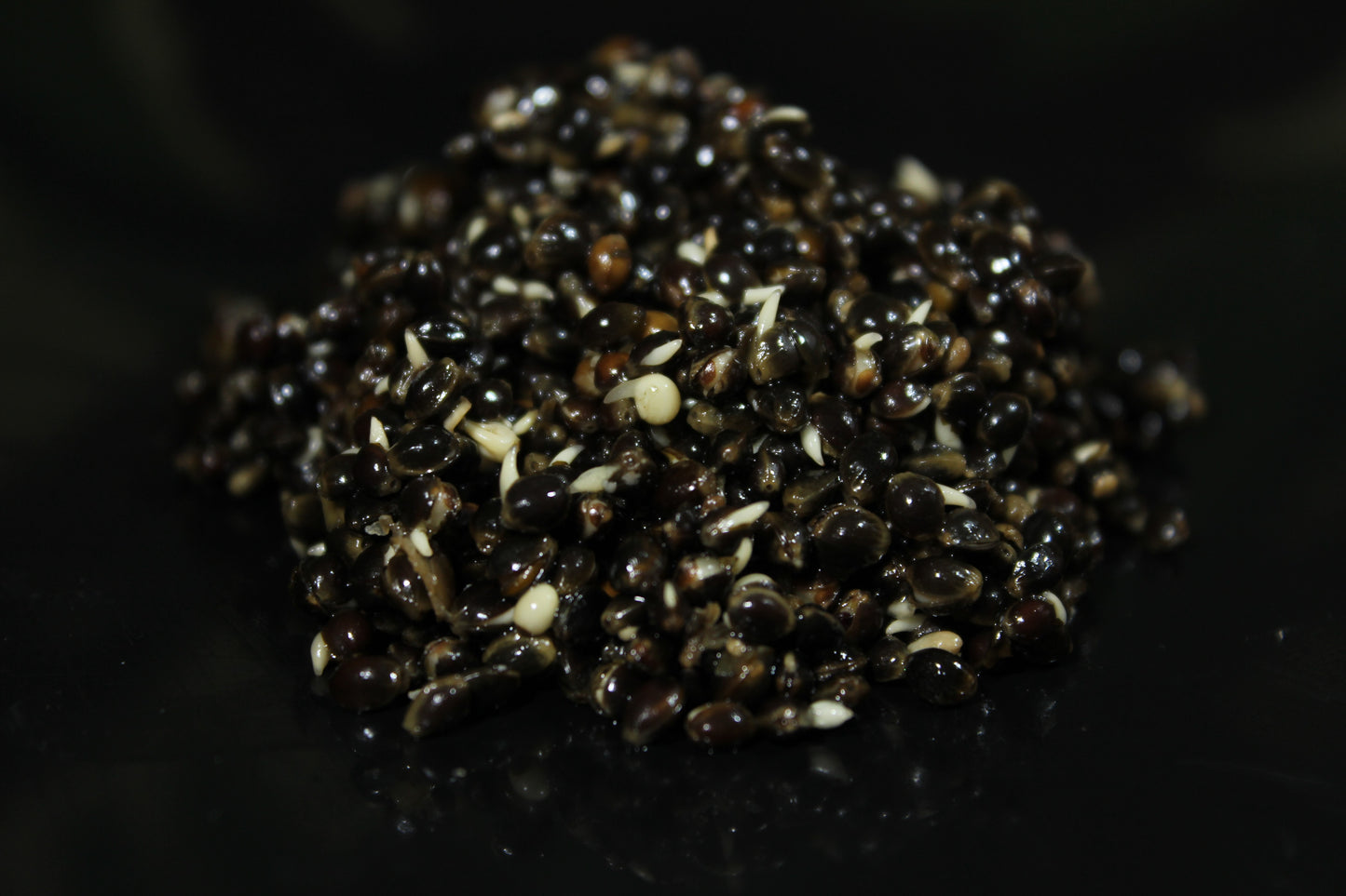 Hemp Seed